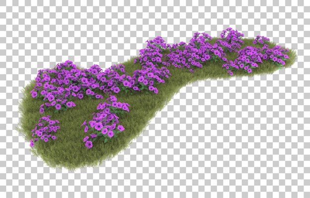 Hierba sobre fondo transparente. Representación 3d - ilustración