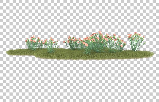 Hierba sobre fondo transparente. Representación 3d - ilustración