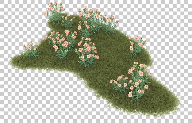 Hierba sobre fondo transparente. Representación 3d - ilustración