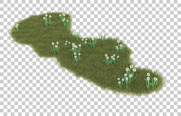 Hierba sobre fondo transparente. Representación 3d - ilustración