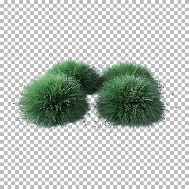 La hierba verde aislada en un fondo transparente