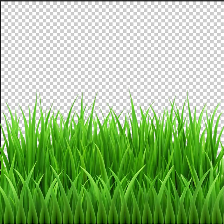 PSD hierba verde aislada en papel tapiz blanco hd imagen fotográfica de stock