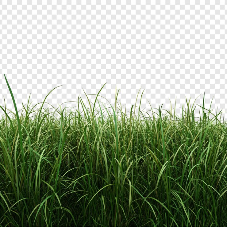 PSD la hierba verde de cerca