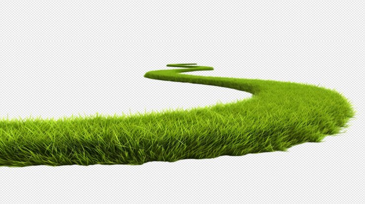 hierba verde png