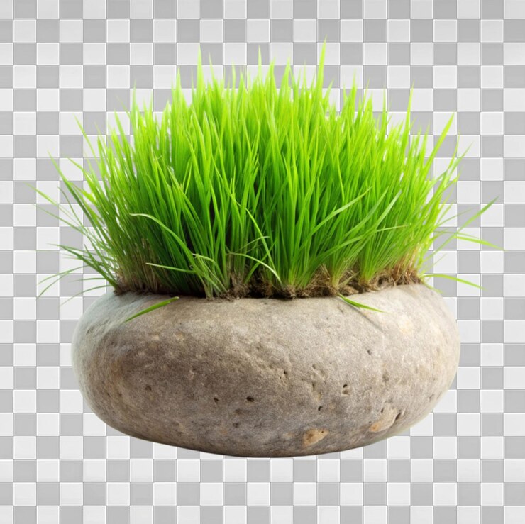 PSD la hierba verde vibrante aislada en un fondo transparente para proyectos de jardinería y diseño