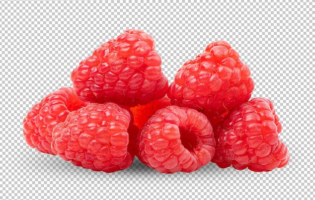 Himbeeren auf Alpha-Schicht
