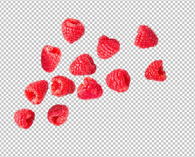 Himbeeren isoliert auf alphaschicht