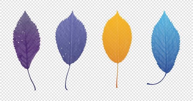 Hoja colorida sobre un fondo transparente