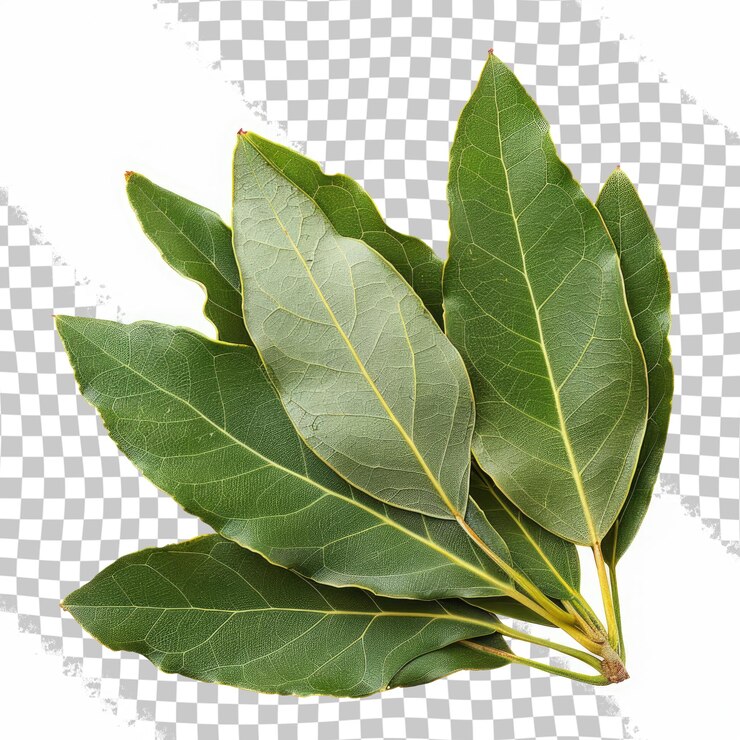 PSD una hoja que es verde