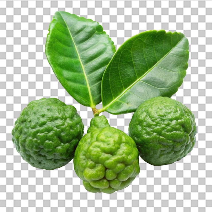 PSD hoja verde bergamot leaf kaffir lime aislado sobre fondo blanco.