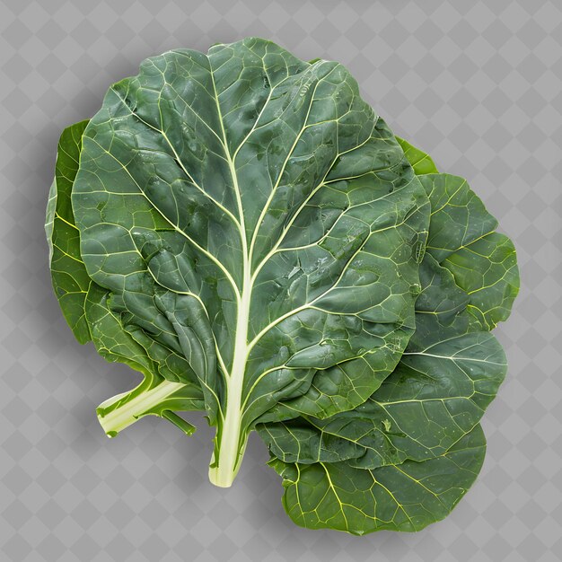 Una hoja verde de lechuga se muestra en un fondo transparente