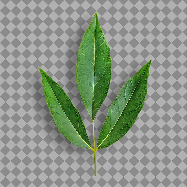 PSD una hoja verde que está creciendo en un fondo a cuadros