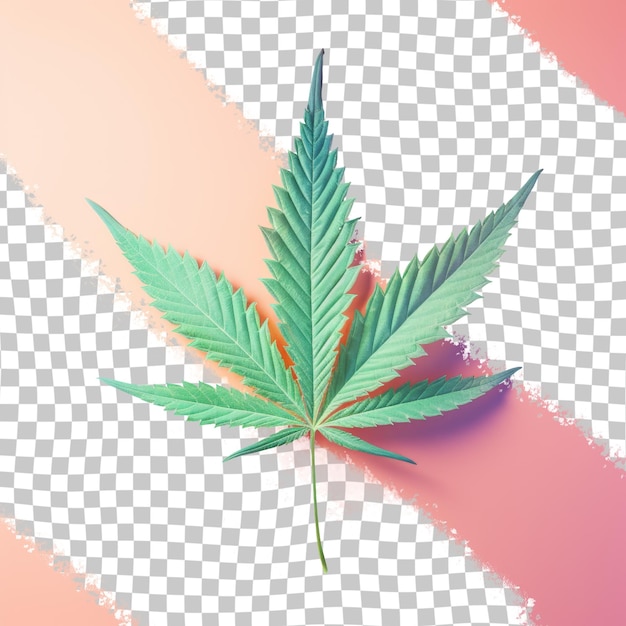 PSD una hoja verde sobre un fondo rosa y blanco con una hoja verde en ella