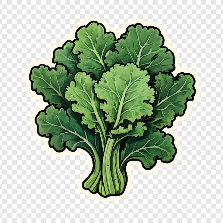 PSD las hojas frescas de la acarda verde son un vegetal saludable ilustración