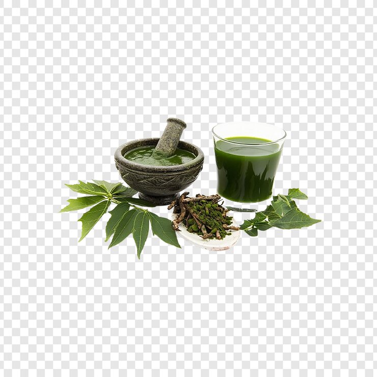 PSD hojas medicinales de neem en mortero y pestillo con pasta de neem