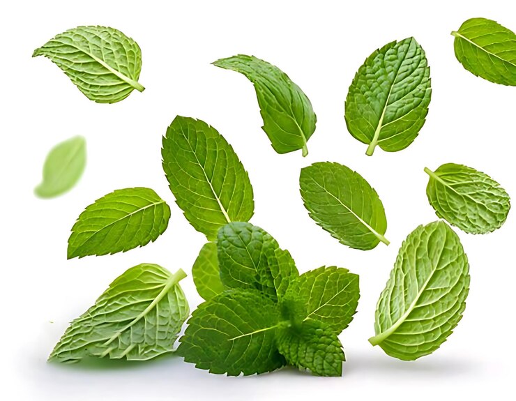 Las hojas de menta que caen, la menta aislada en un recorte de fondo blanco