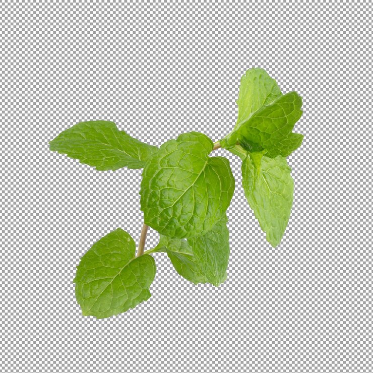 PSD hojas de menta verde aisladas en el fondo alfa