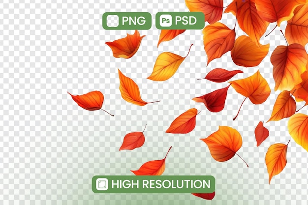 Hojas de otoño que caen Recursos gráficos PNG y PSD de alta resolución para proyectos de diseño con follaje de otoño vibrante Perfecto para temas de otoño y diseños estacionales Descargar ahora