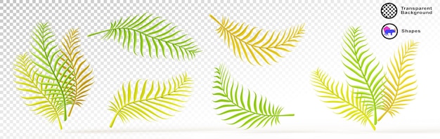 Hojas de palma verdes tropicales conjunto de iconos de renderización 3D Ramas de plantas tropicales aisladas en fondo blanco Elemento de diseño de verano de la hoja de coco frente y lado vista realista follaje exótico