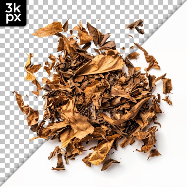 Hojas de tabaco secas sobre un fondo transparente