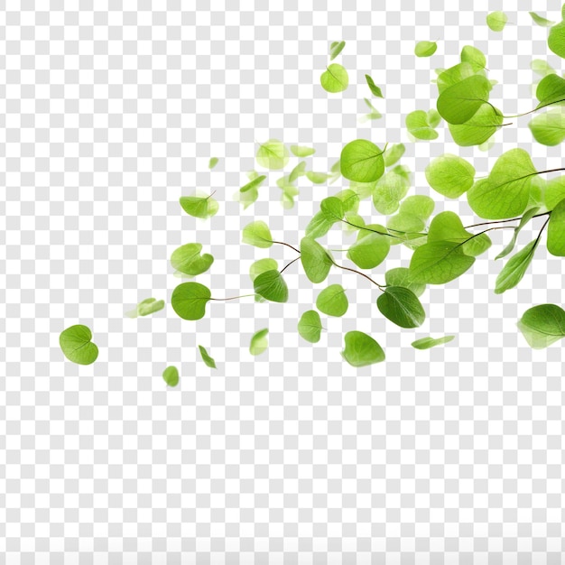 PSD hojas verdes cayendo en la profundidad del campo blanco en el fondo transparente psd