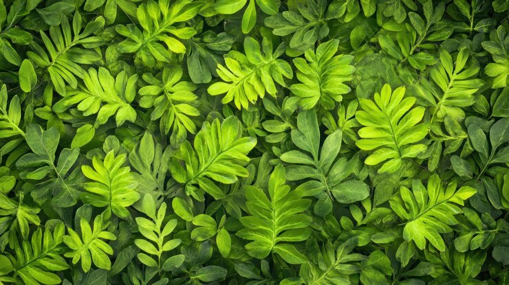 PSD las hojas verdes exuberantes crean un patrón natural vibrante