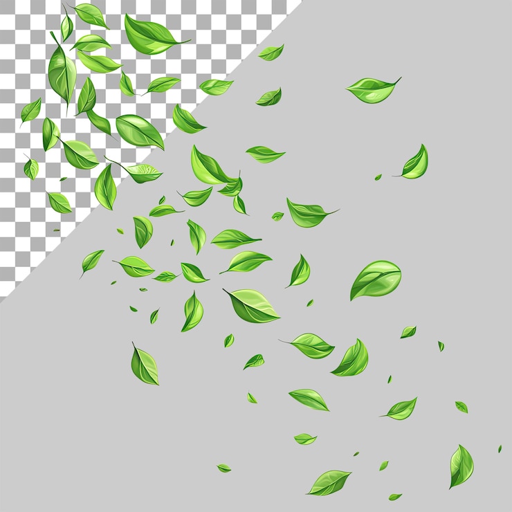 PSD hojas verdes flotando en el aire contra un fondo transparente