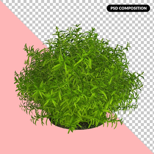 hojas verdes representación 3d aislado psd premium
