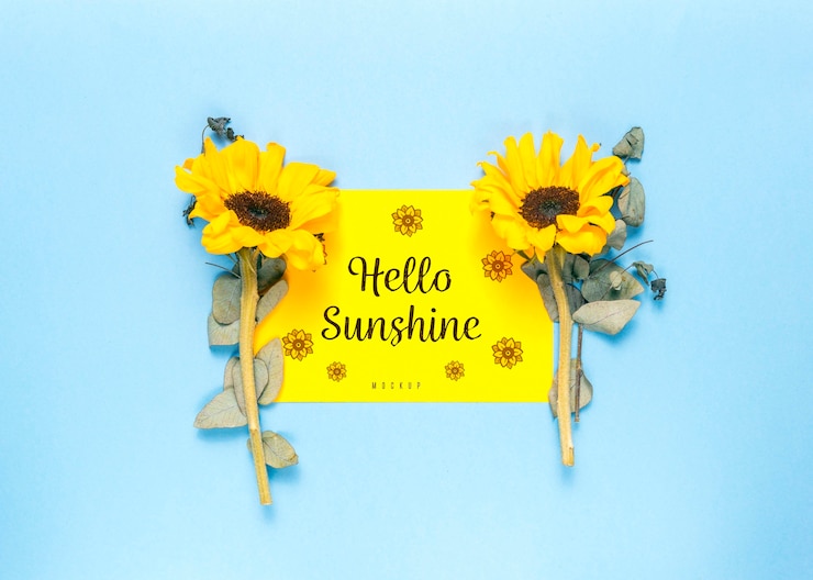 PSD hola diseño floral de maqueta de sol