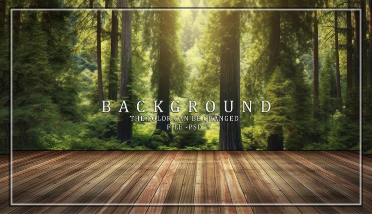 PSD holzboden in einem redwood-wald