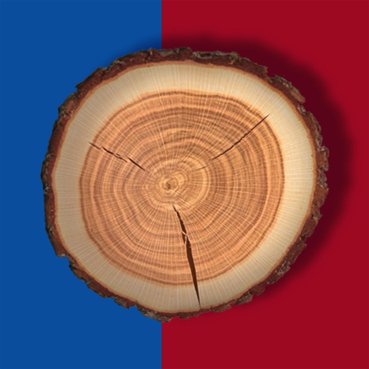 PSD holzquerschnitt