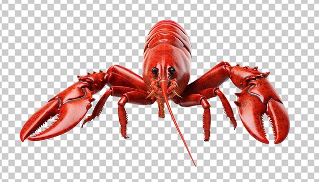 PSD un homard en 3d