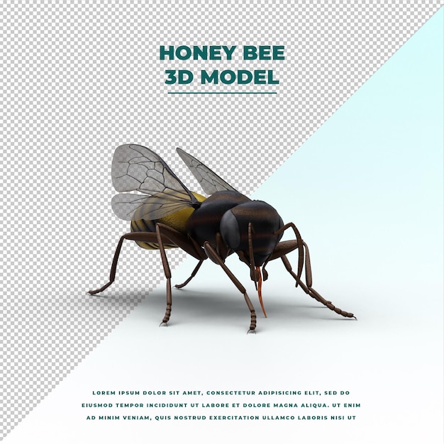 PSD honey bee