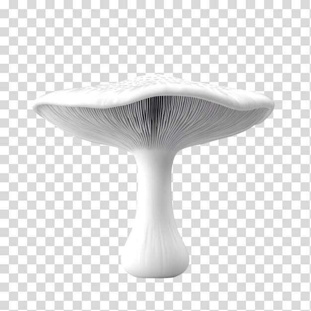 hongos aislados en fondo transparente recorte PNG