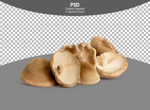 Los hongos Shiitake aislados en un fondo transparente