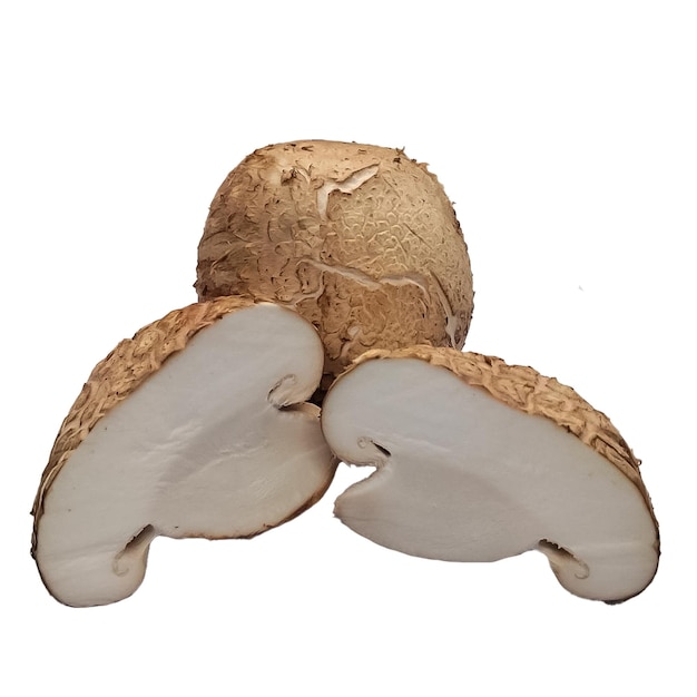 Los hongos Shiitake frescos