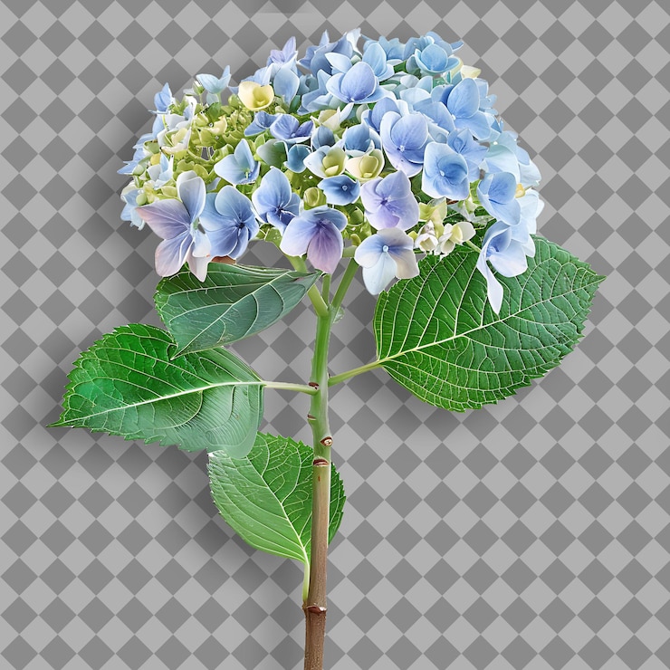 PSD hortensia con rama recta y robusta cubierta en una gran rama de árbol aislada y llamativa en bg limpio