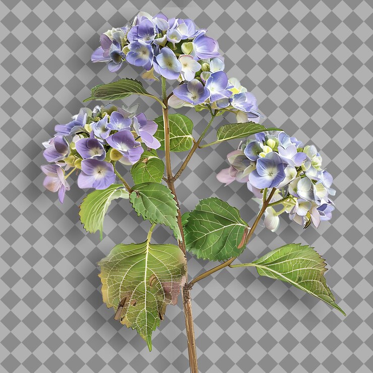 PSD hortensia con rama recta y robusta cubierta en una gran rama de árbol aislada y llamativa en bg limpio