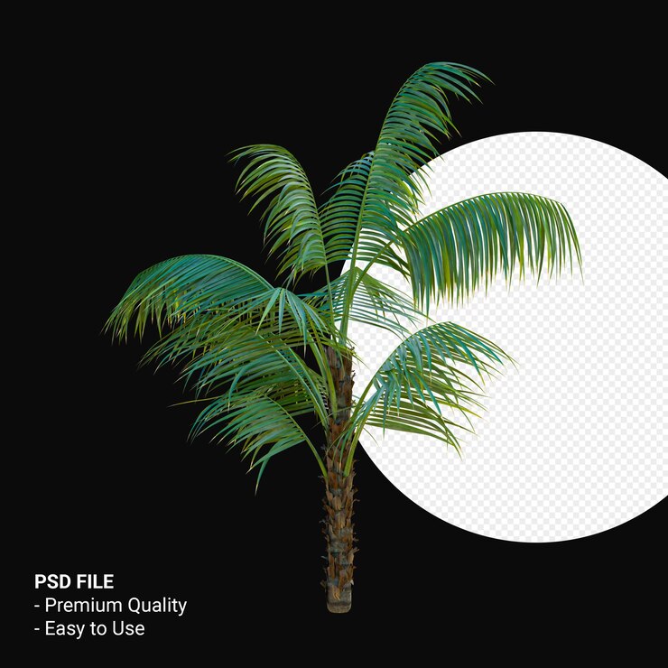 PSD howea forsteriana 3d render aislado
