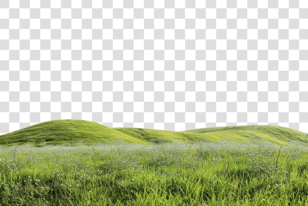Hügelige Frühlingsfelder, ländliche Wiesenlandschaft