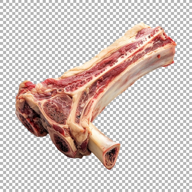 Hueso con carne en fondo transparente generado por Ai