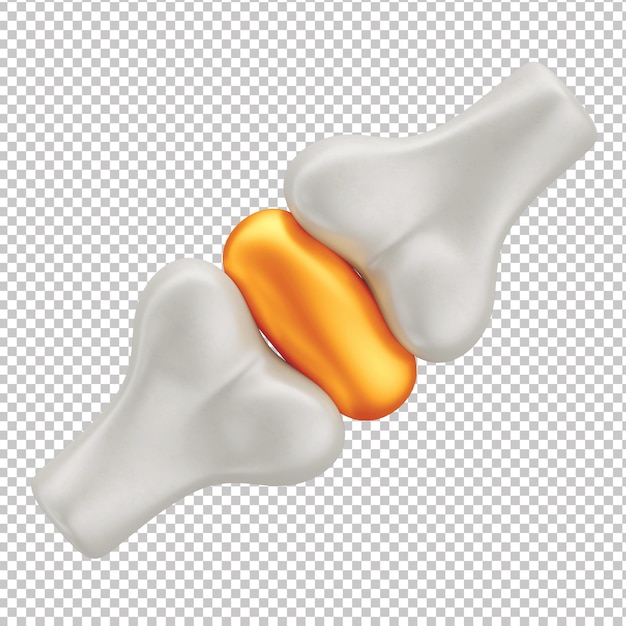 Hueso de estilo de dibujos animados en 3D con fondo transparente