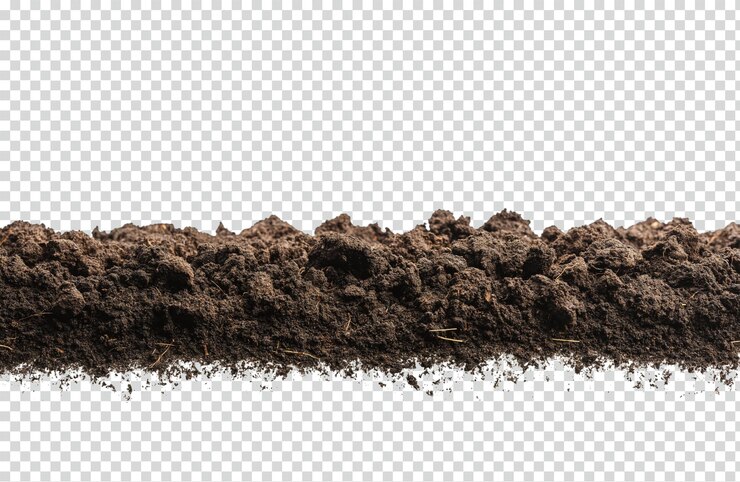 PSD humus del suelo fondo de la frontera del montón aislado en png blanco o transparente