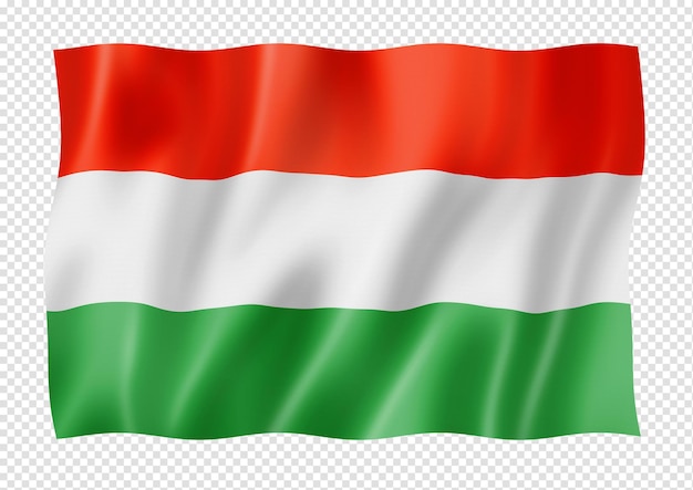 Hungarian flag isolated on white