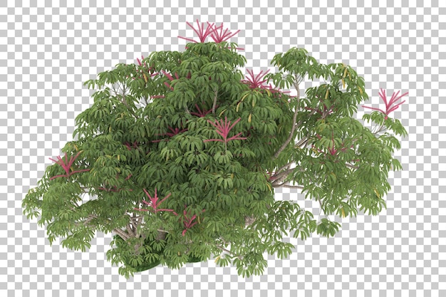 Hutan dengan latar belakang transparan. Render 3D - ilustrasi
