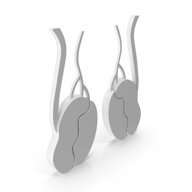 Icona 3D dei testicoli maschili Simbolo anatomico della salute riproduttiva Concetto di anatomia maschile