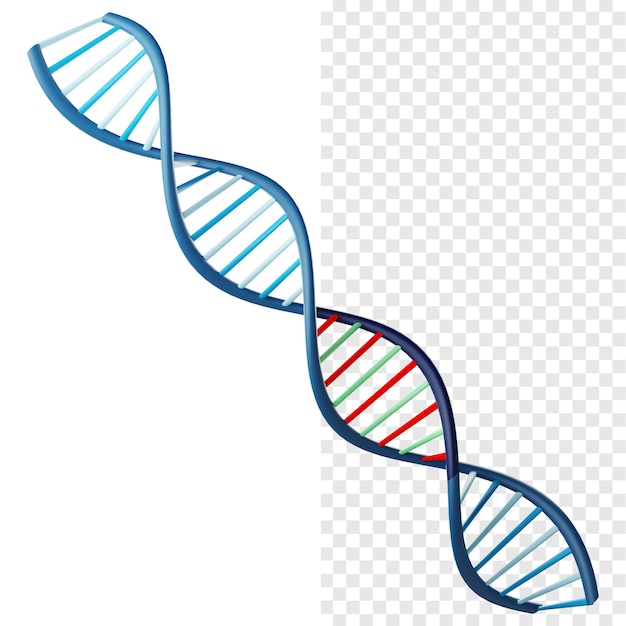 Ícone 3D de espiral de DNA