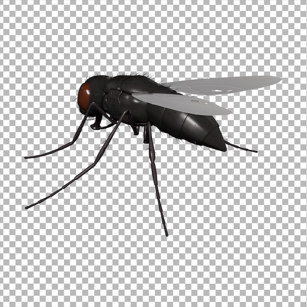 Ícone 3D de inseto