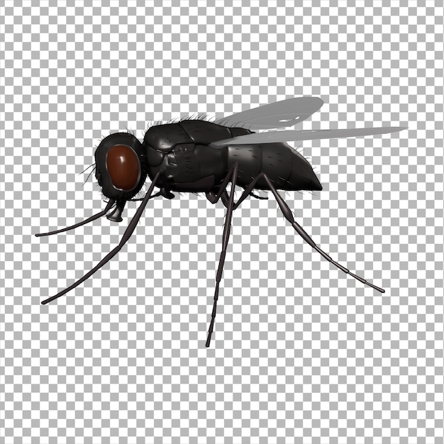 Ícone 3D de inseto