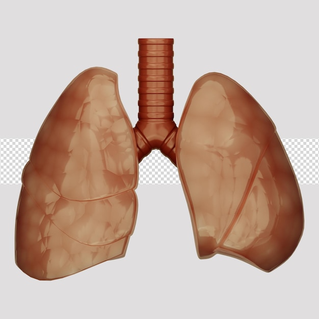 PSD Ícone 3d pulmão